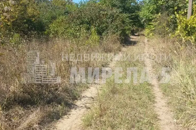 Plot in Ruse, Leventa