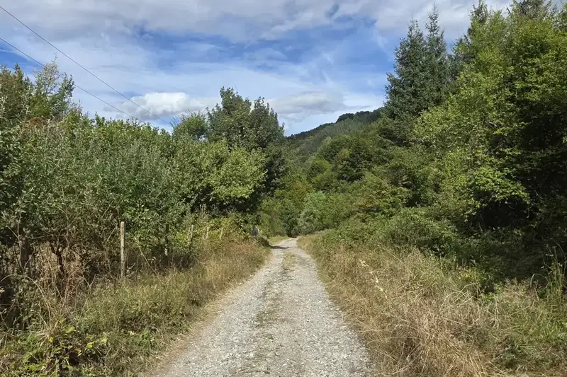 Plot in Lovech, Balkanec
