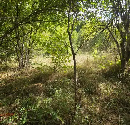 Photo 3 — Plot in Lovech, Balkanec