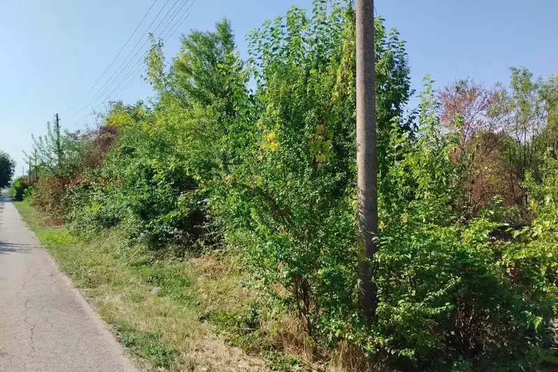 Парцел във Велико Търново, с. Батак
