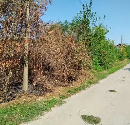 Photo 3 — Plot in Veliko Tyrnovo, Batak