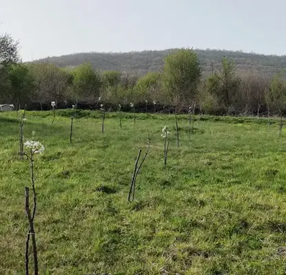 Снимка 5 — Парцел в Ловеч, с. Батулци