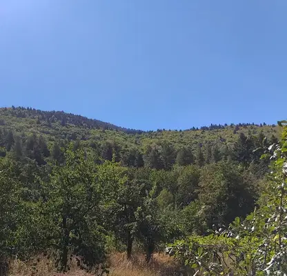 Photo 2 — Plot in Kyustendil, Bistrica