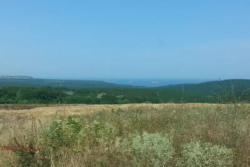 Plot in Varna, Bliznaci