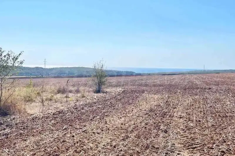 Plot in Varna, Bliznaci