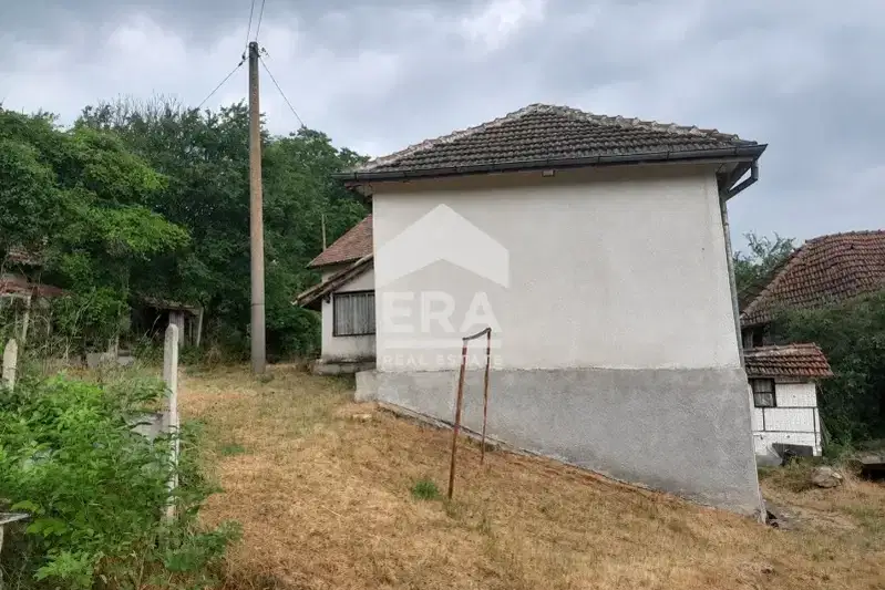 Plot in Sofia, Breze