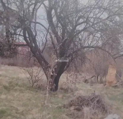 Снимка 3 — Парцел в София, с. Букоровци