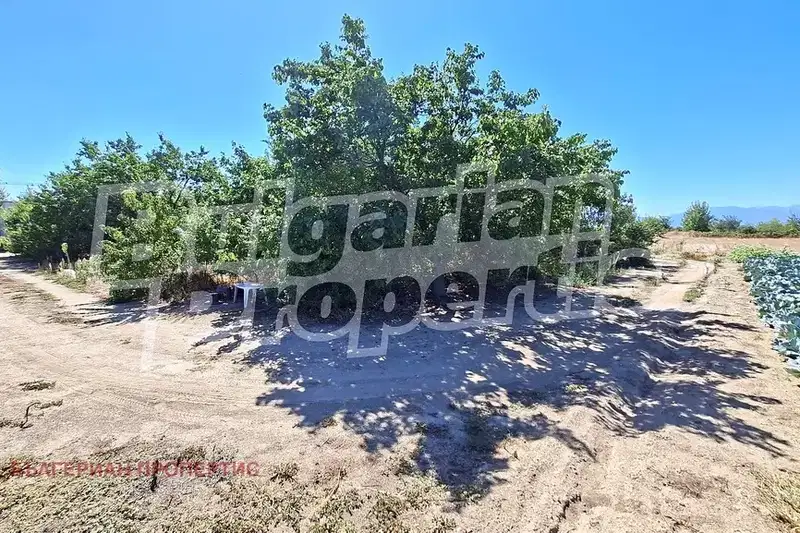 Plot in Plovdiv, Calapica