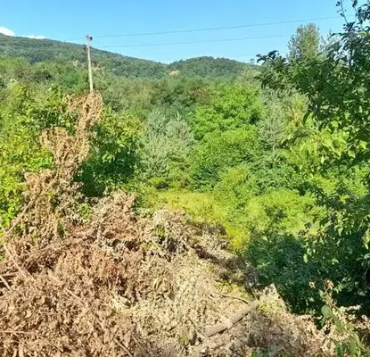 Снимка 3 — Парцел в Пловдив, с. Цар Калоян