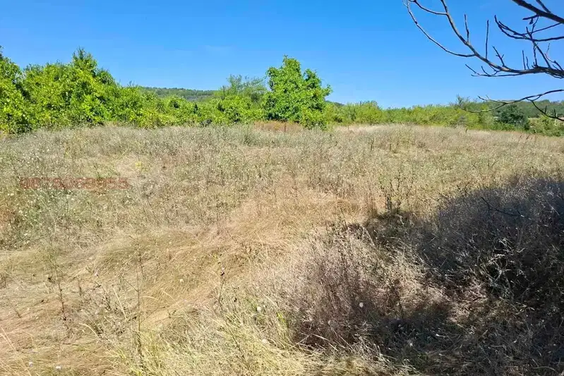 Plot in Veliko Tyrnovo, Cerova Koriya