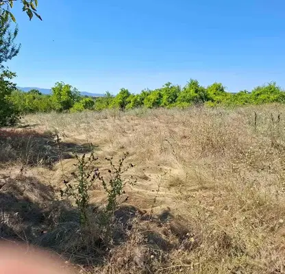 Photo 3 — Plot in Veliko Tyrnovo, Cerova Koriya