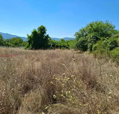 Photo 4 — Plot in Veliko Tyrnovo, Cerova Koriya
