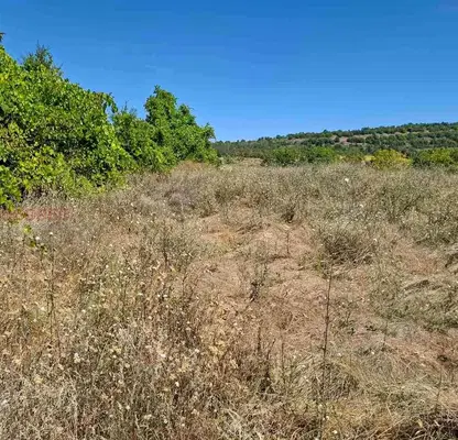 Photo 5 — Plot in Veliko Tyrnovo, Cerova Koriya