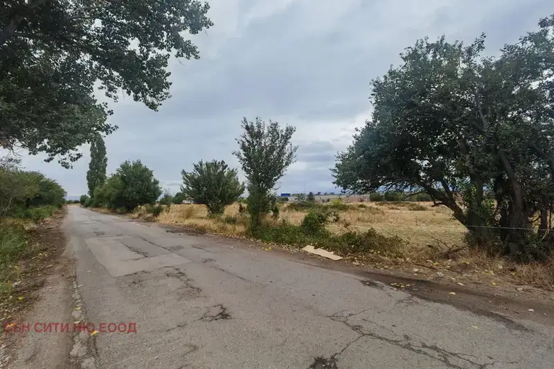 Plot in Chepinci