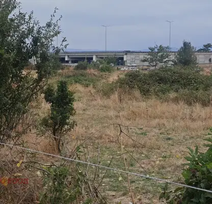 Photo 4 — Plot in Chepinci