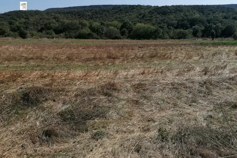 Парцел в Добрич, с. Църква