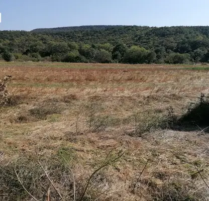 Снимка 5 — Парцел в Добрич, с. Църква