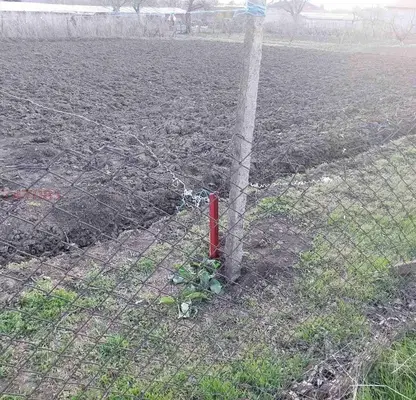 Photo 2 — Plot in Dobrich, Dobrevo