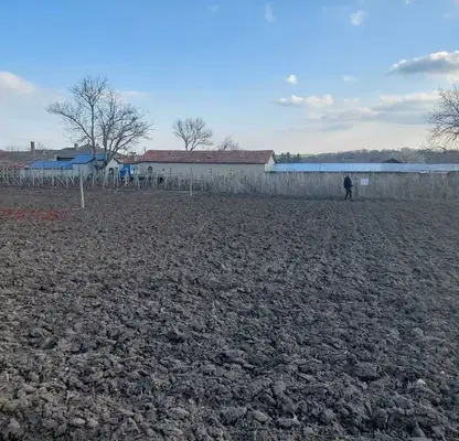 Photo 3 — Plot in Dobrich, Dobrevo