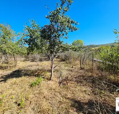 Photo 2 — Plot in Veliko Tyrnovo, Dobri Dyal