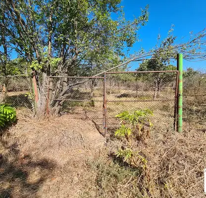 Photo 4 — Plot in Veliko Tyrnovo, Dobri Dyal