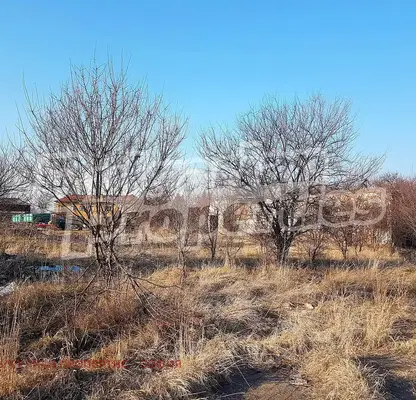 Photo 3 — Plot in Dolni Bogrov