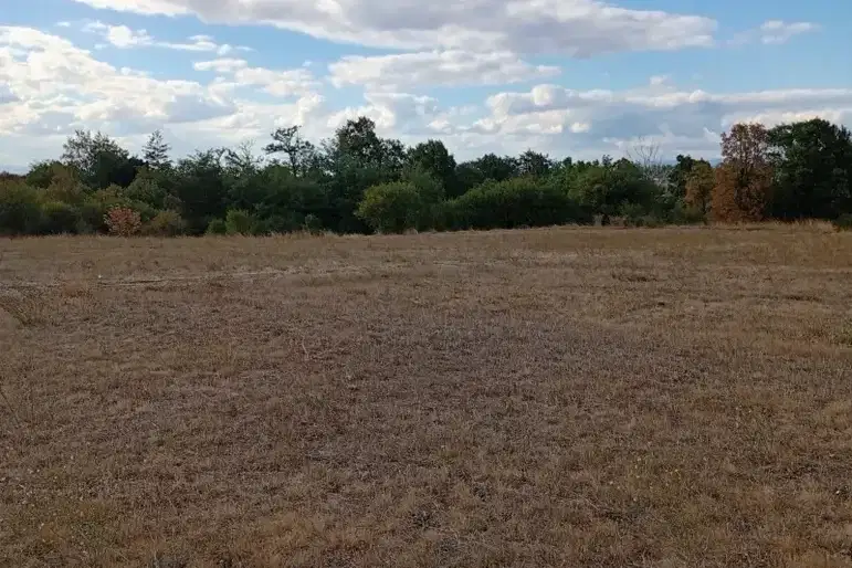 Plot in Dolni Bogrov
