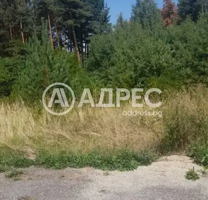 Photo 2 — Plot in Dolni Pasarel