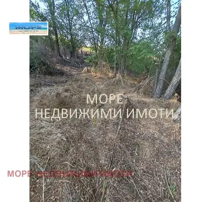 Снимка 2 — Парцел в Бургас, с. Дюлево