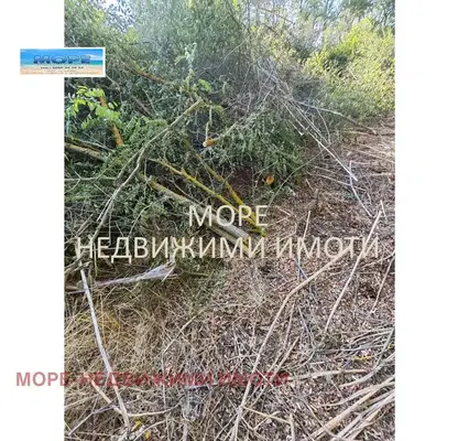 Снимка 3 — Парцел в Бургас, с. Дюлево