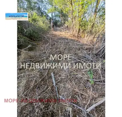 Снимка 4 — Парцел в Бургас, с. Дюлево