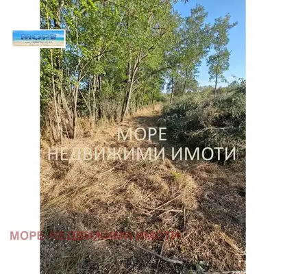 Снимка 5 — Парцел в Бургас, с. Дюлево