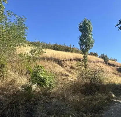 Снимка 5 — Парцел в Кърджали, с. Енчец
