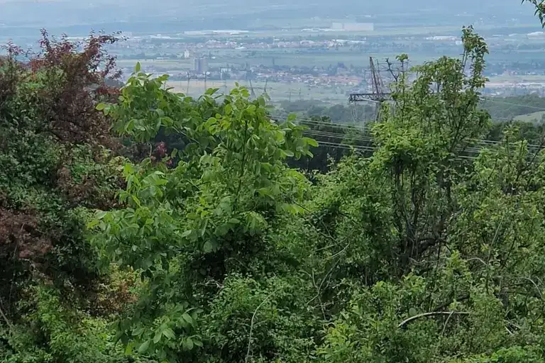 Plot in Sofia, Gradec