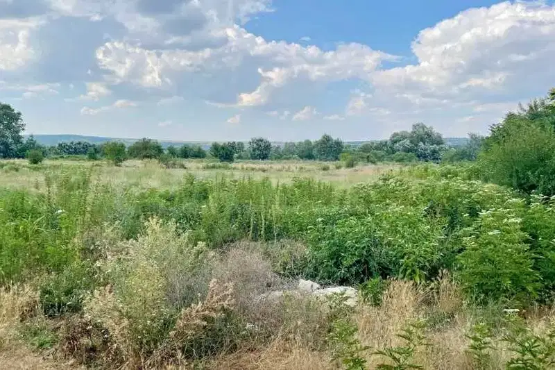 Парцел във Варна, с. Гроздьово