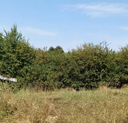 Снимка 4 — Парцел във Велико Търново, с. Илаков рът