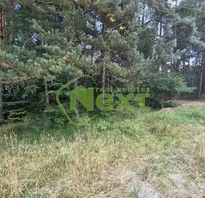 Photo 4 — Plot in Jeleznica