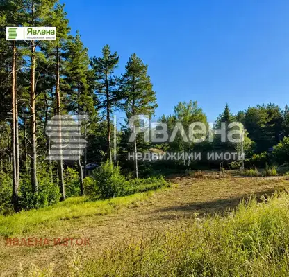Снимка 3 — Парцел в с. Железница