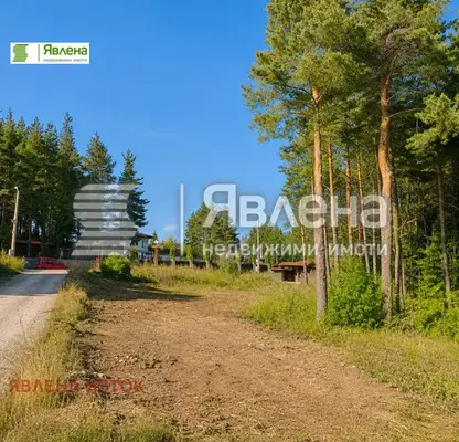 Снимка 4 — Парцел в с. Железница