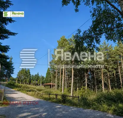 Снимка 3 — Парцел в с. Железница