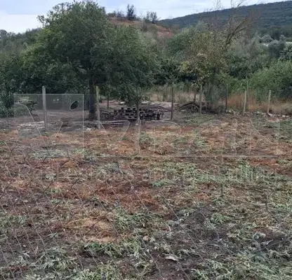 Photo 3 — Plot in Varna, Kalimanci