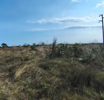 Photo 5 — Plot in Burgas, Kamenar