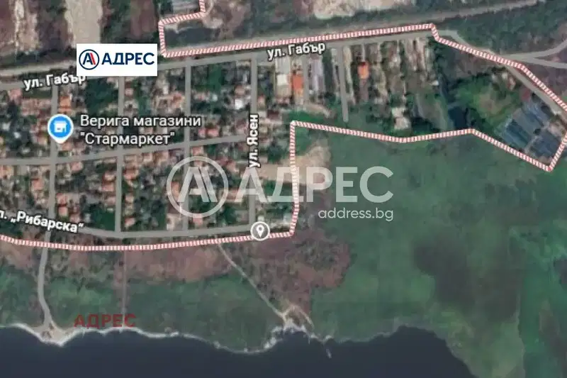 Plot in Kazashko