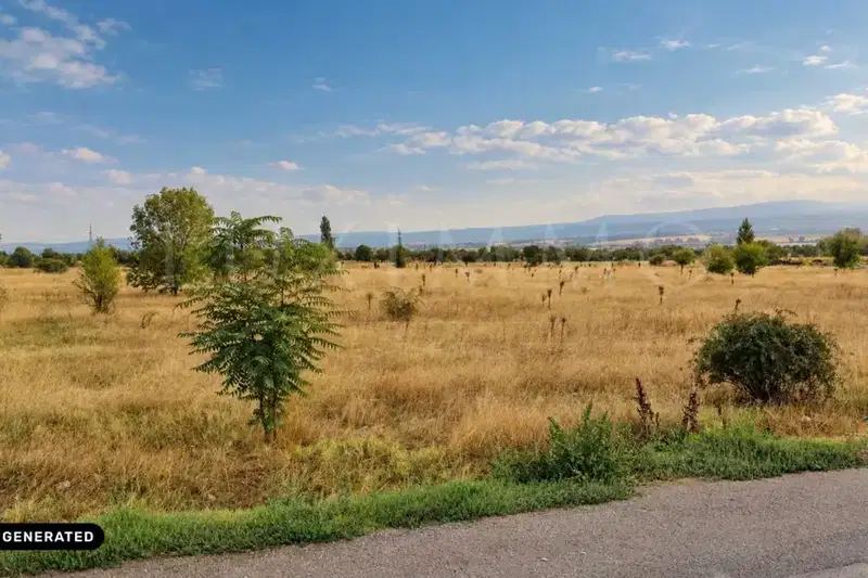 Plot in Kazichene