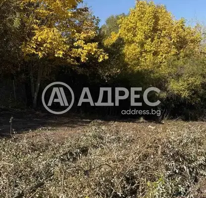 Photo 3 — Plot in Kokalyane