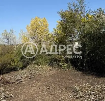 Photo 4 — Plot in Kokalyane