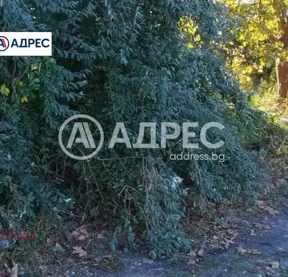 Photo 3 — Plot in Konstantinovo