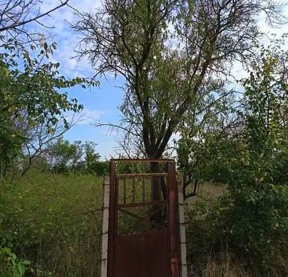 Снимка 4 — Парцел в с. Константиново