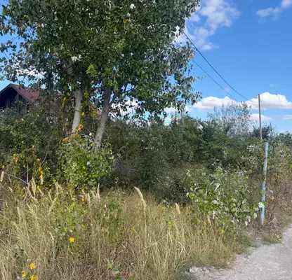 Photo 2 — Plot in Konstantinovo