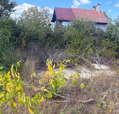 Photo 3 — Plot in Konstantinovo